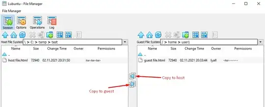 copy between host and guest