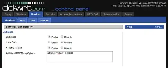 DD-WRT DNSMasq settings