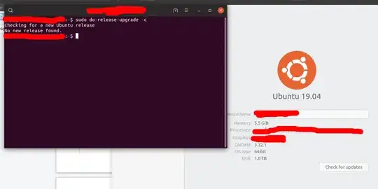 entered the command for updating to 19.10 from 19.04