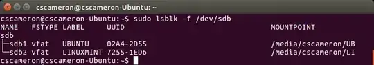 sudo lsblk -f /dev/sdb