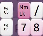 NumLock key on the onboard keyboard (after hitting the 123 key)