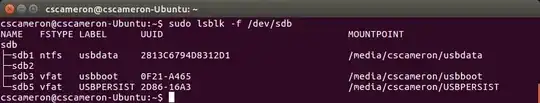 sudo lsblk -f  /dev/sdb