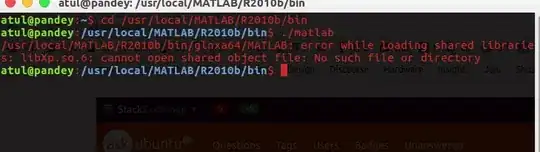 Error while lanching the matlab c
