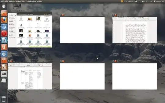 guest OS Disk Management