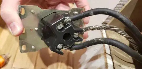 close up of the back