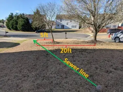 Our front yard trees vs. sewer line