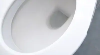 Right Side From Front