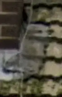 diagram of relay and contactor