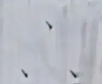 cropped roof color photo, light gray