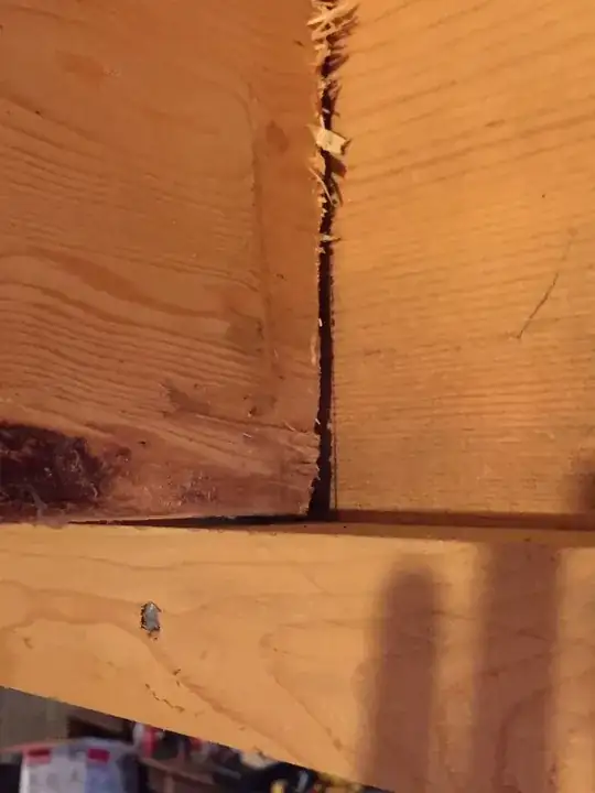 plastic bowl in a sink