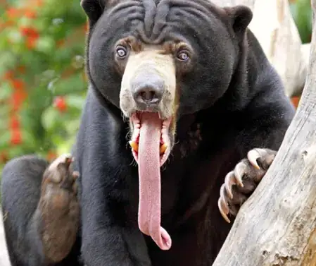 thickly painted square protrusion on round surface with cracked paint around perimeter