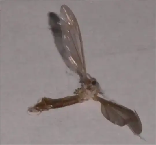 Insect - was nearby - don't know if its related to damage