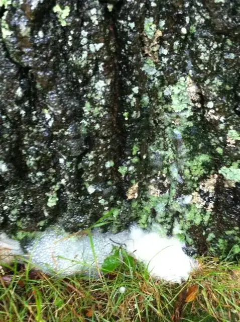 Hacksaw blade holder