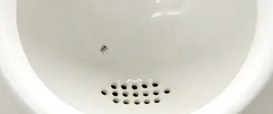 Image of fly painted on men's urinal