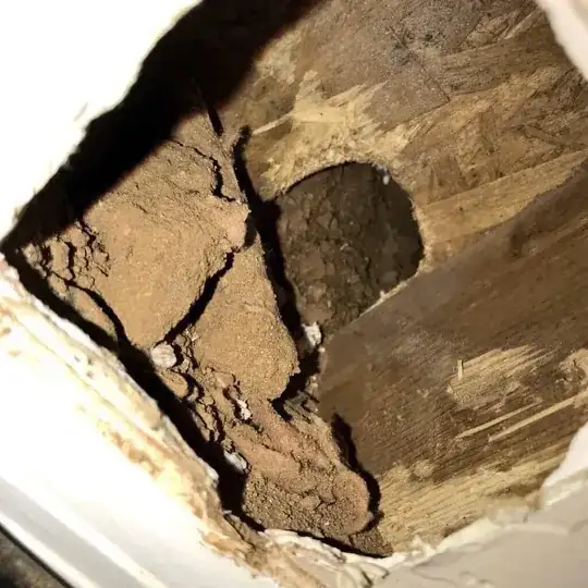 gophers tunneled inside walls of home