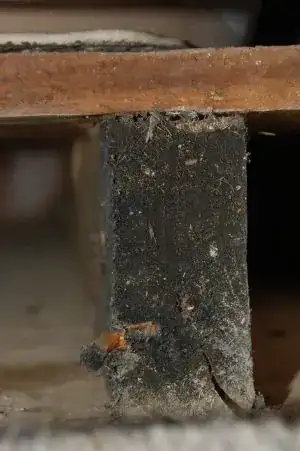 Warp across length of door, corner starting to stick out from frame