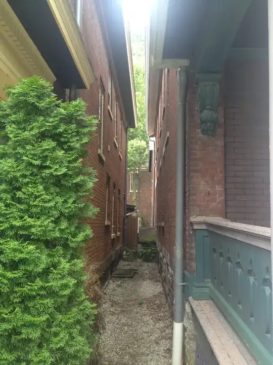 Right Side is Neighbor's House, Left mine