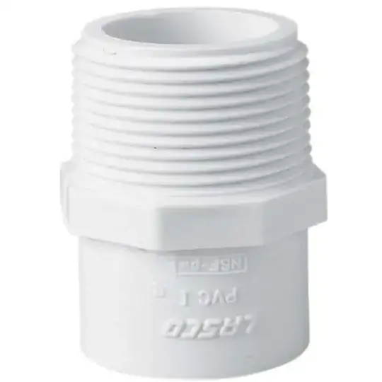 fungal fruiting bodies