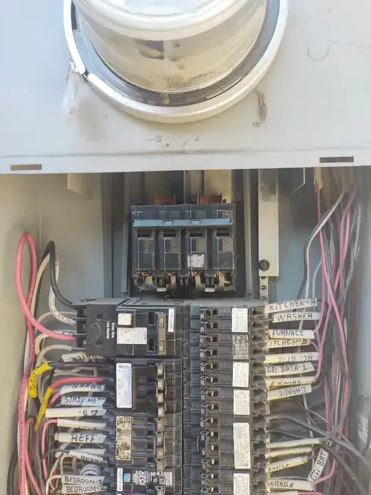 Electrical panel without accessible service mains