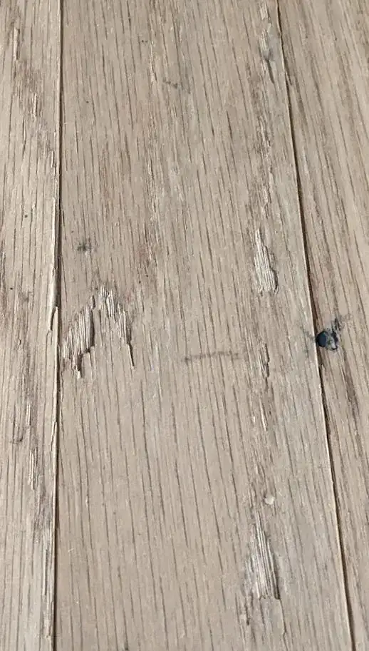 chip in wood floor, photo 2