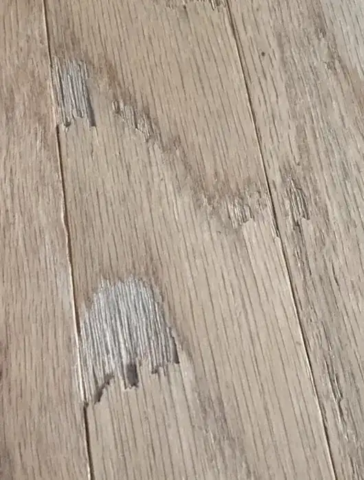 chip in wood floor, photo 3