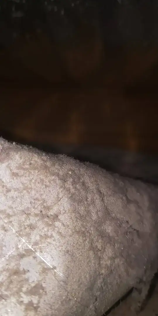 insulation in flat roof