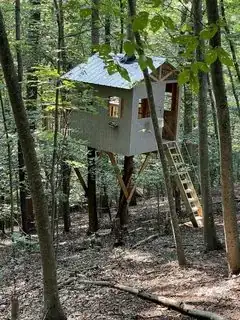 treehouse_finished