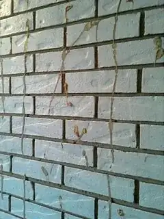 Construction glue on brick