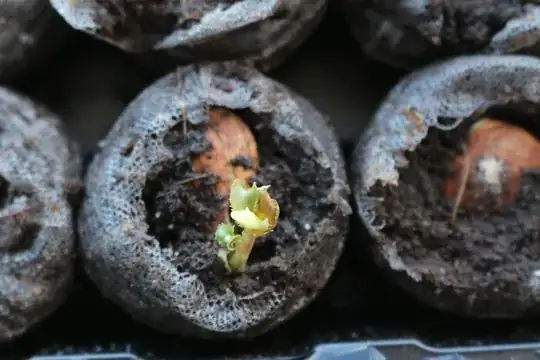 Another view of browning