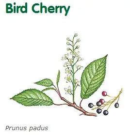 result with (UK) identification site