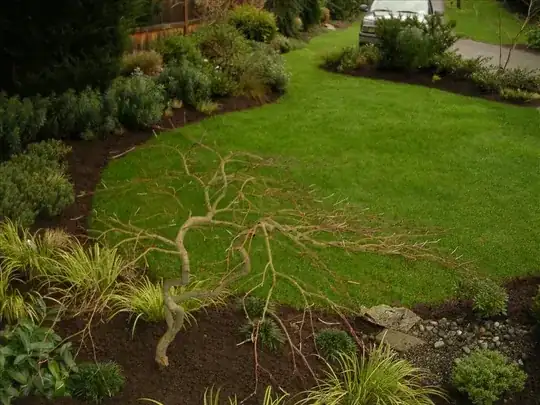 minimizing lawn great edge definition and composition