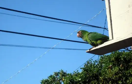 Parrots!