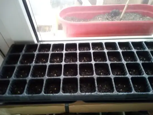 Detail of image from qquestion