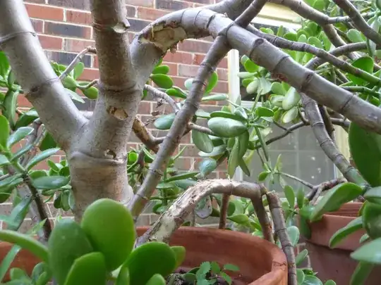 Closer view of damage