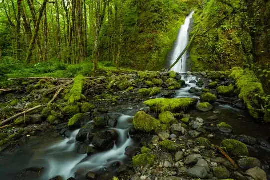 The rocks and moss here