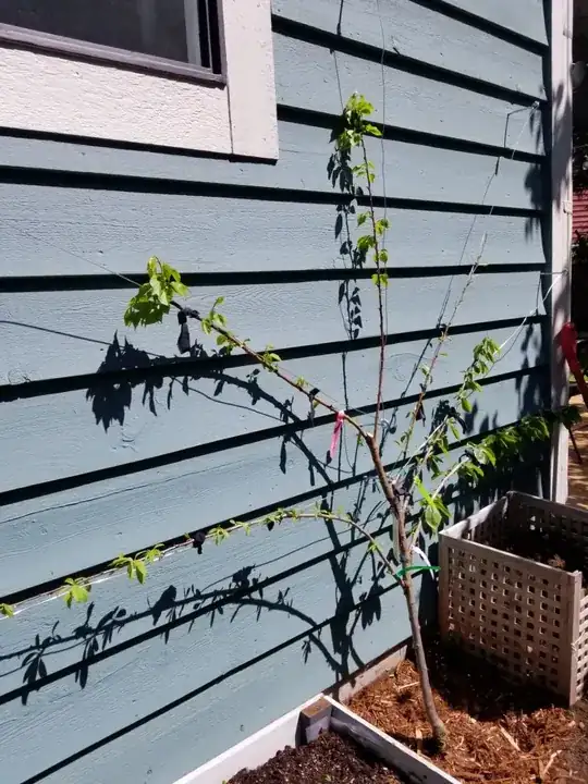 ![enter image description here