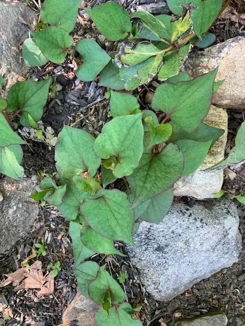 ![enter image description here