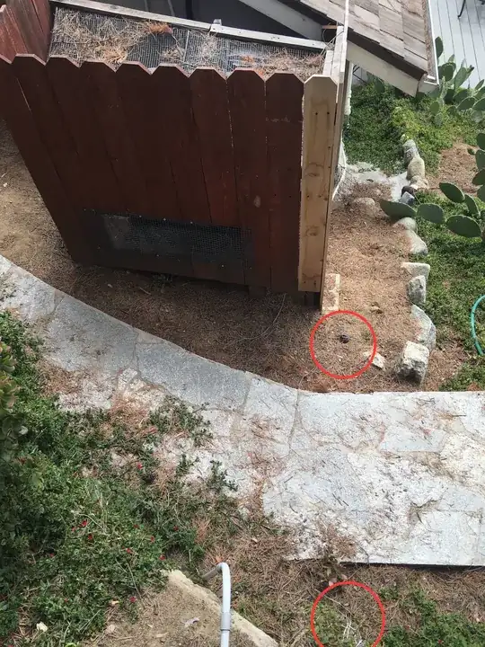 sites of the original bushes