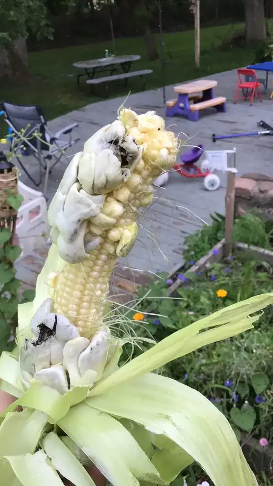 Gives me the willies