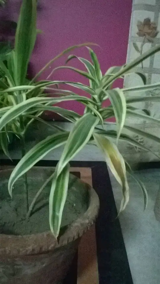 airy fence[![Fire pit, garden walls CMU concrete modular units, paver patio...