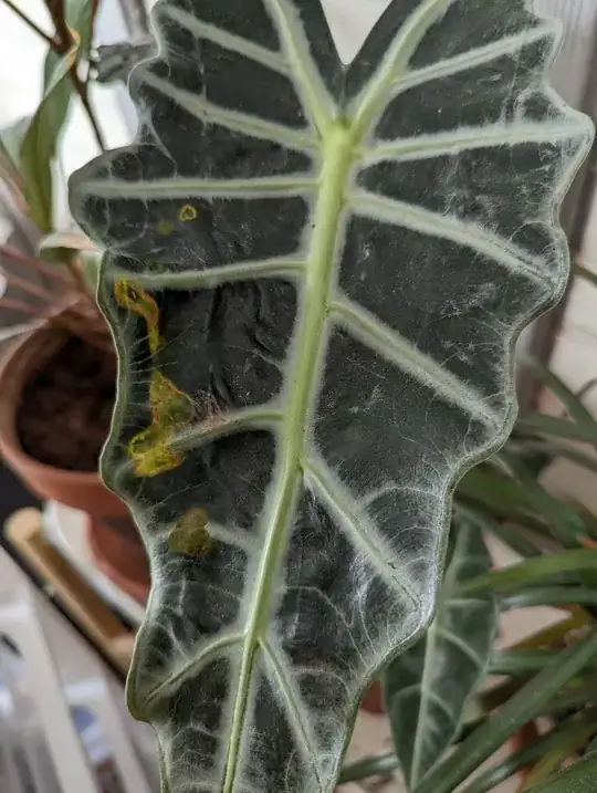 enter image description here