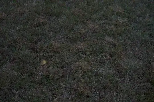 Front lawn close-up 1