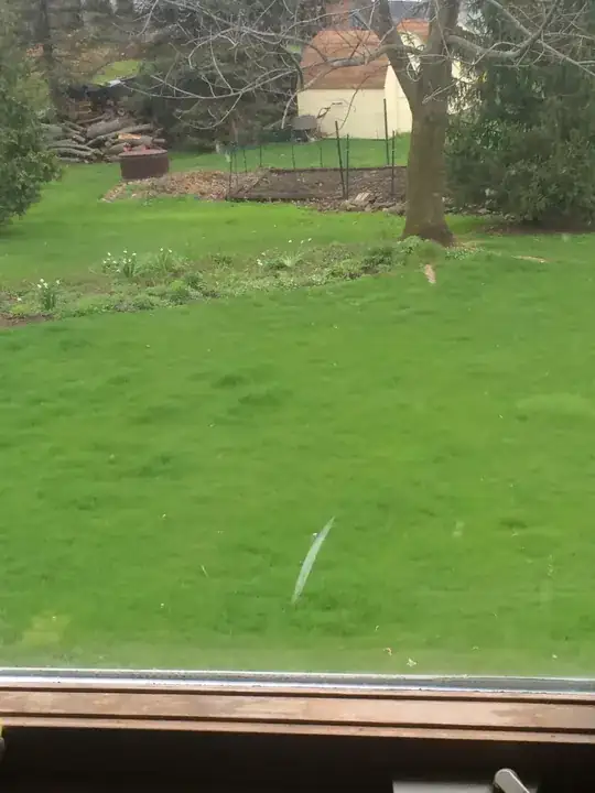 Larger Brom Side view of Bloom Pic1