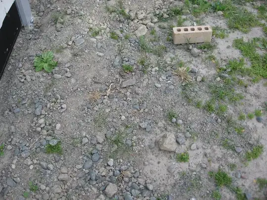 stony ground, with brick for reference