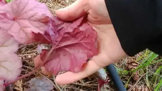 enter image description here