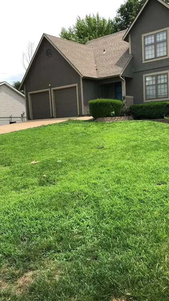 lawn