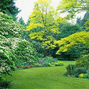 Sweeping consistent radius for lawn edges, beefed up beds for plants, a peninsula to give mystery to your yard