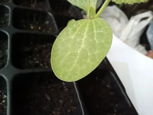 Image showing entire porch