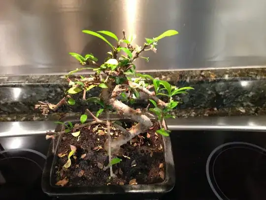 side facing away from sun