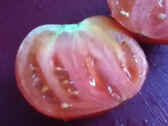tomato cross-section